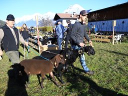 2019_ausstellung polling_024